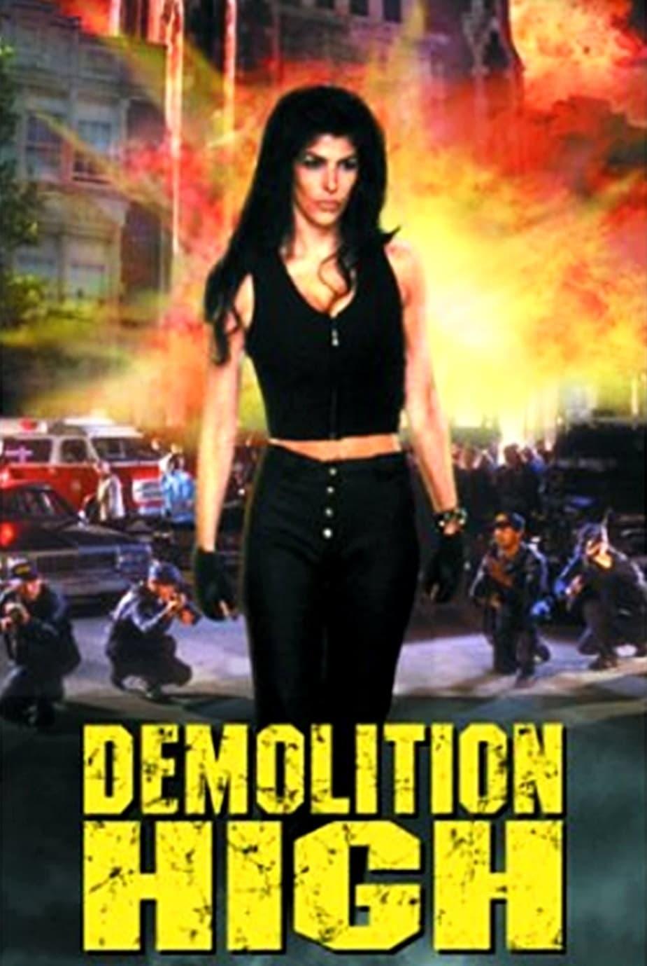 Demolition High poster