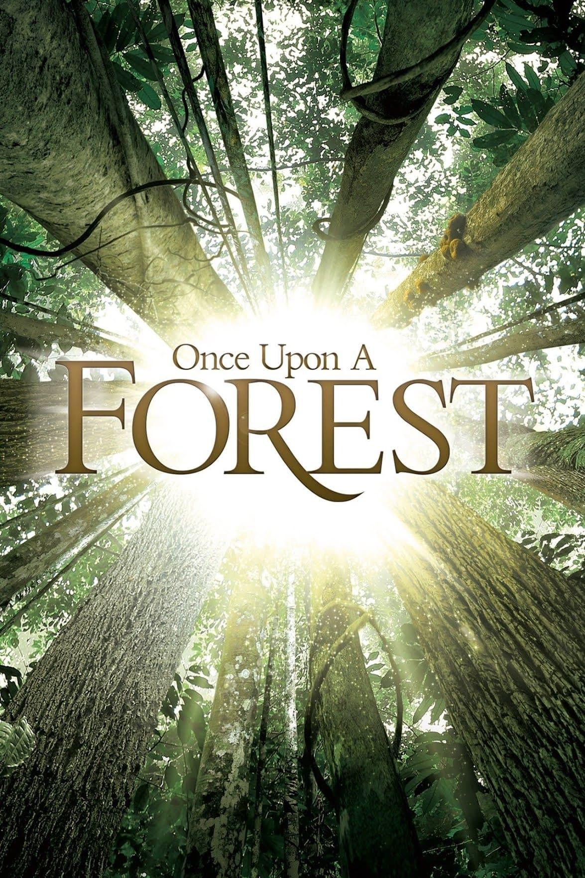 Once Upon a Forest poster