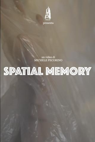 Spatial Memory poster