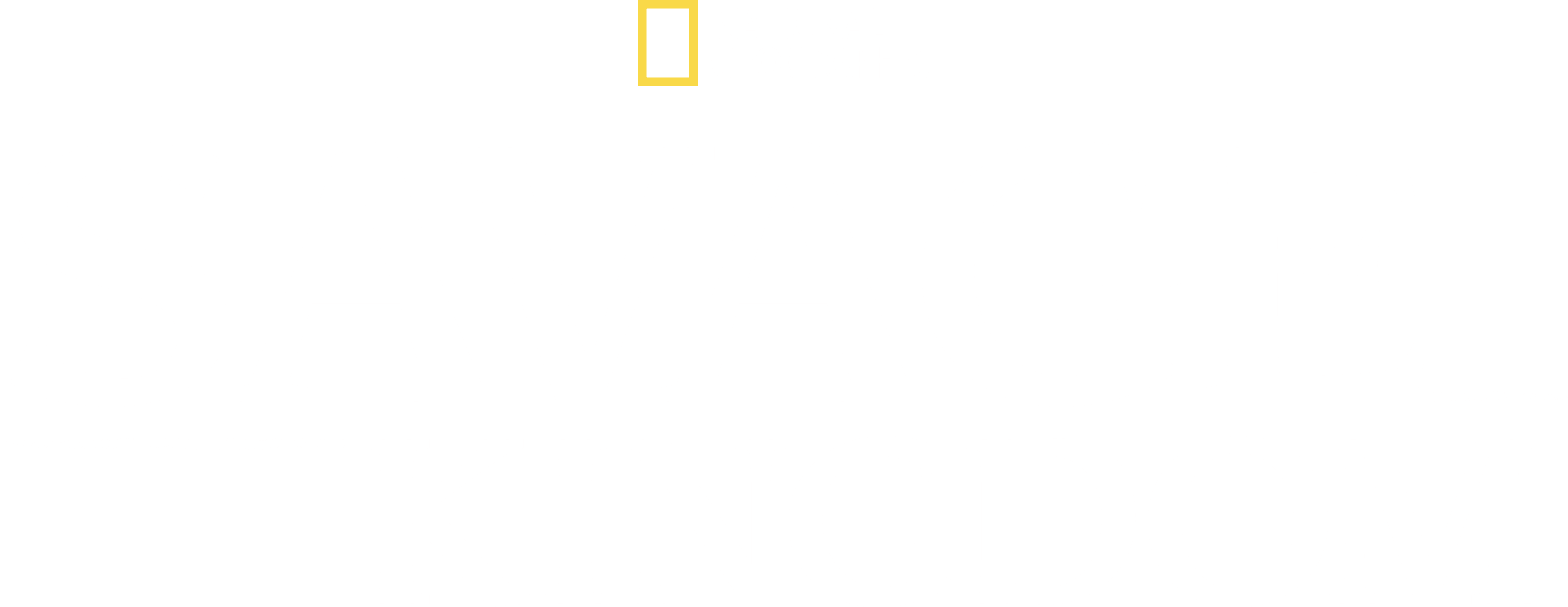 Savage Kingdom logo