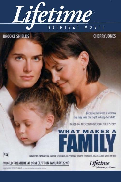 What Makes a Family poster