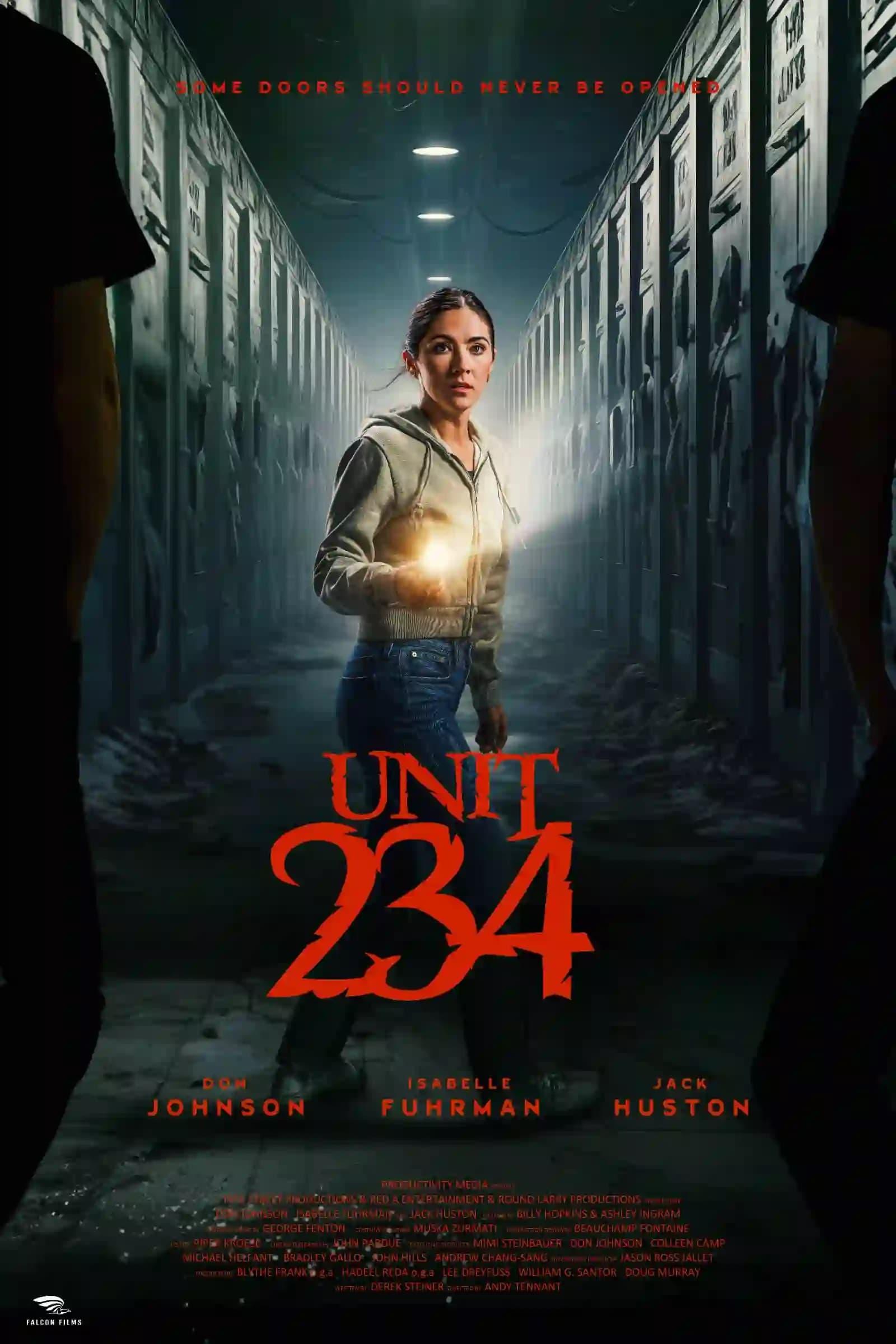 Unit 234 poster