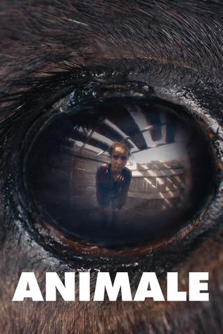 Animale poster
