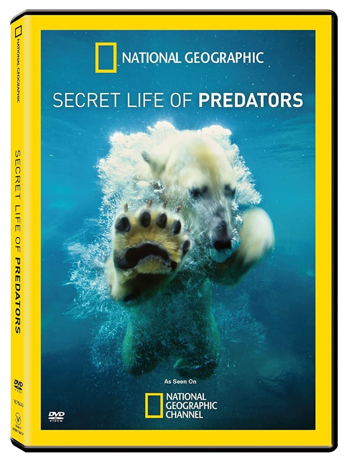 Secret Life of Predators poster