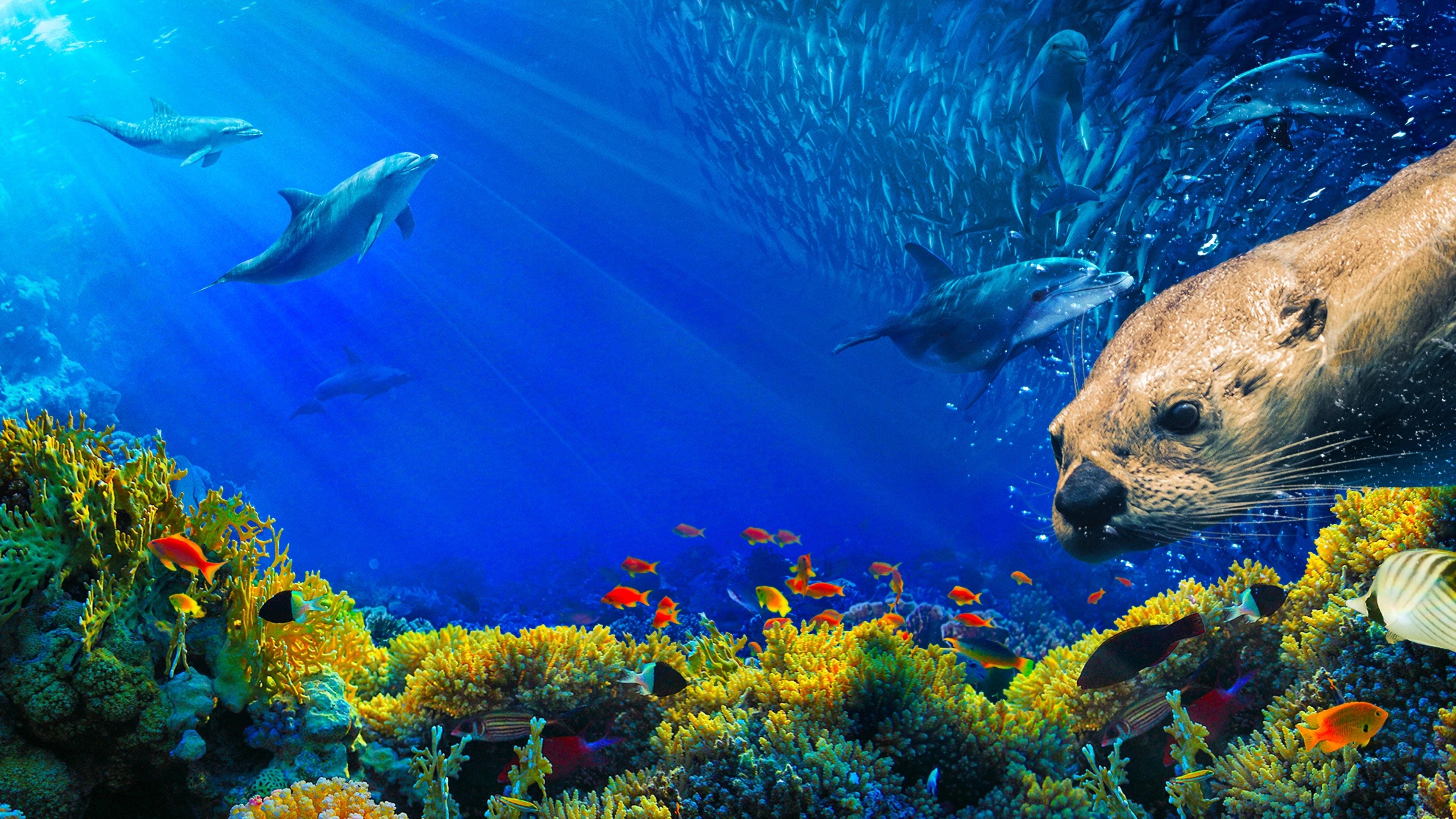 Oceans: Our Blue Planet backdrop