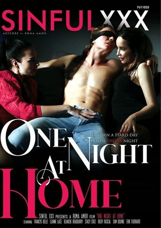 One Night At Home poster