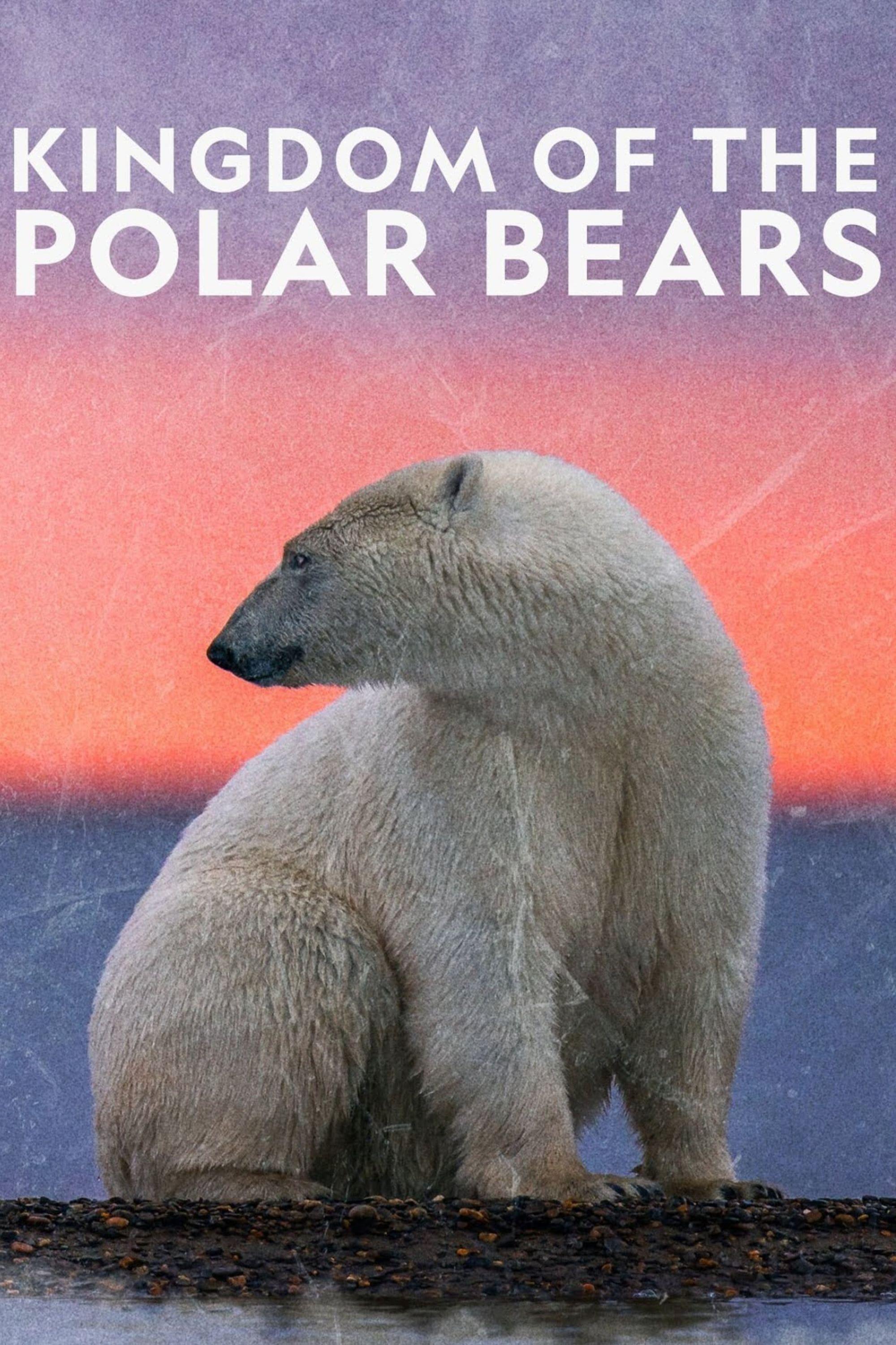 Kingdom of the Polar Bears poster