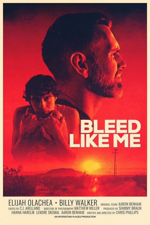 Bleed Like Me poster