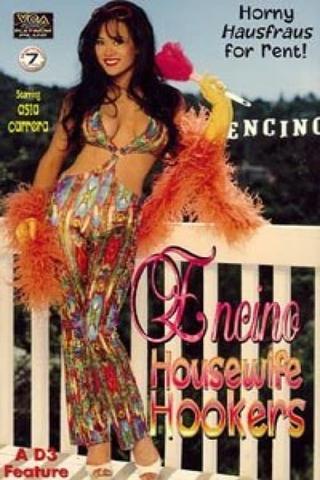 Encino Housewife Hookers poster