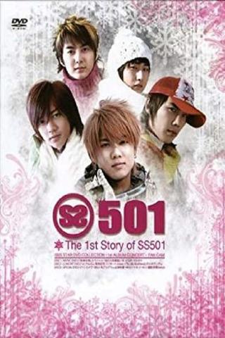 SS501 - 1'st Story poster