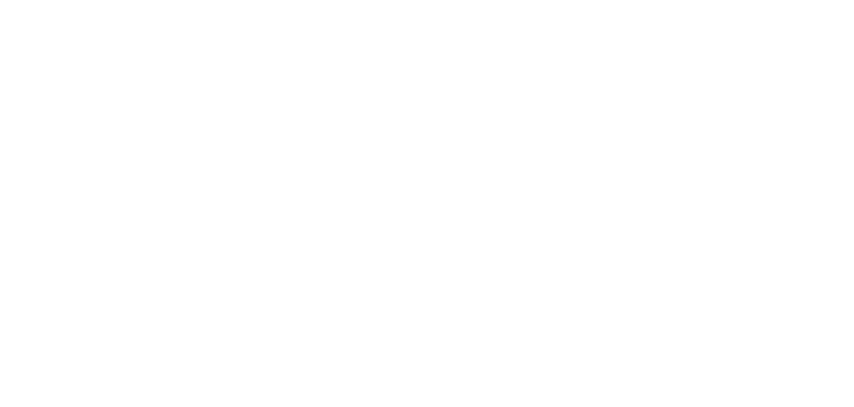 Random Acts of Flyness logo