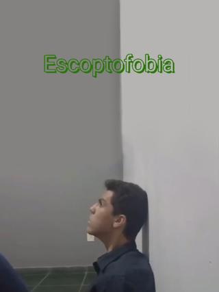 Escoptofobia poster