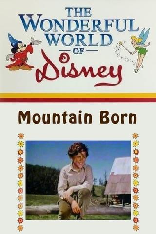 Mountain Born poster