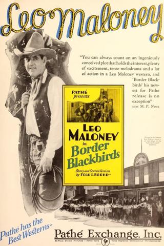 Border Blackbirds poster