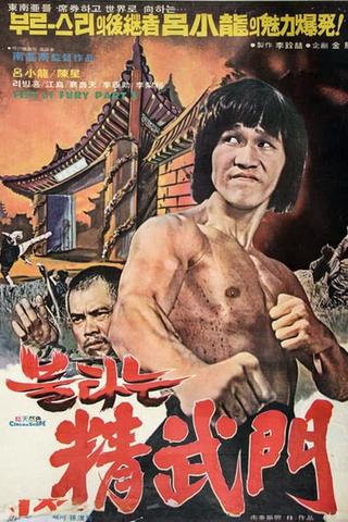 Bruce and Shaolin Kung Fu part 2 poster