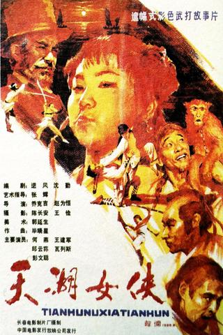 天湖女侠 poster