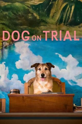 Dog on Trial poster