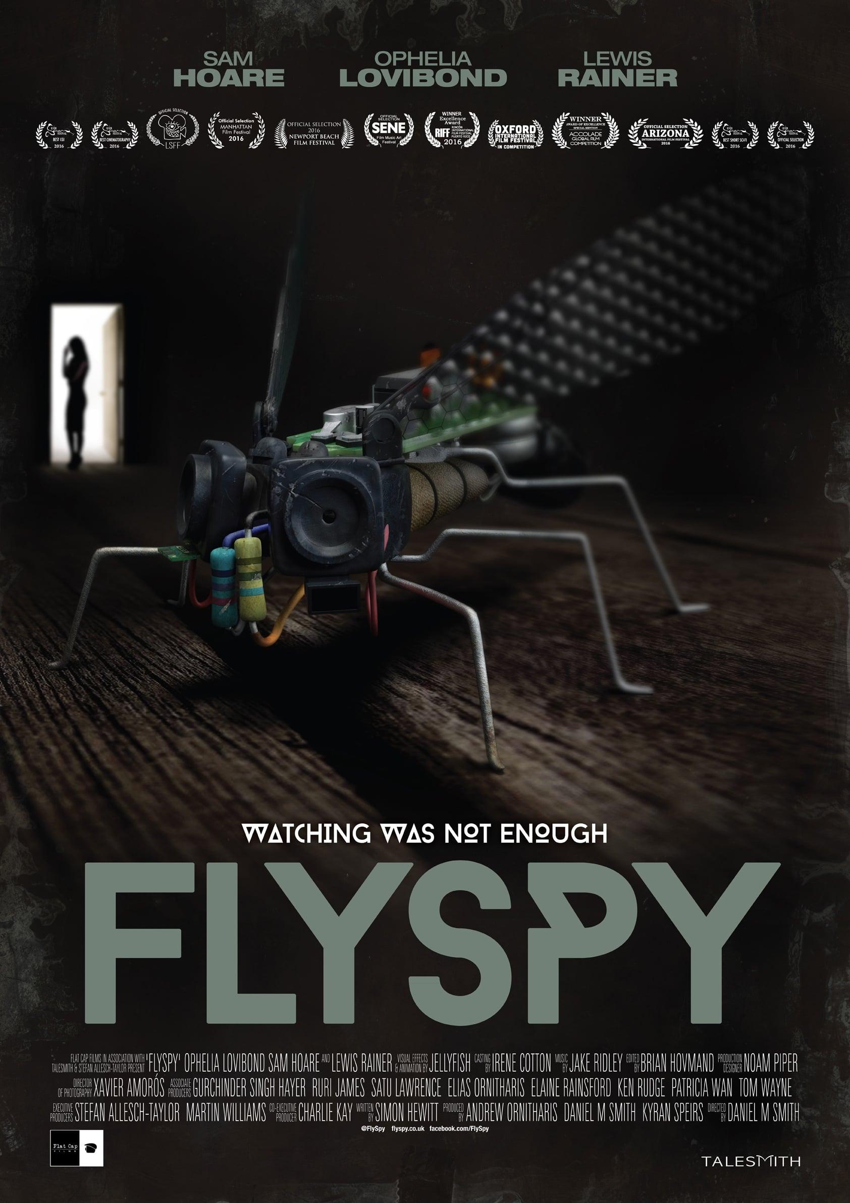 Flyspy poster