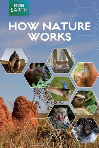 How Nature Works poster