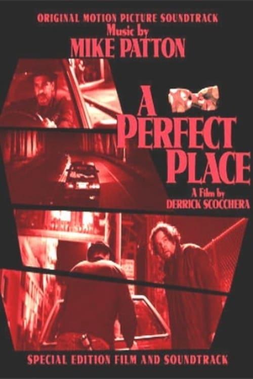 A Perfect Place poster