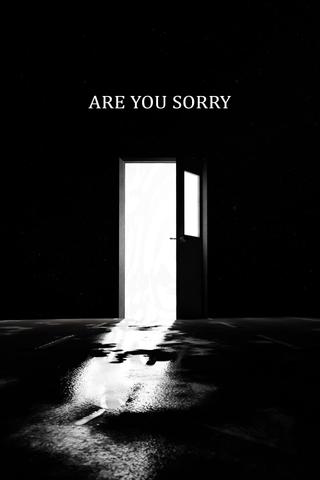 ARE YOU SORRY? poster