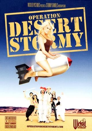 Operation: Desert Stormy poster