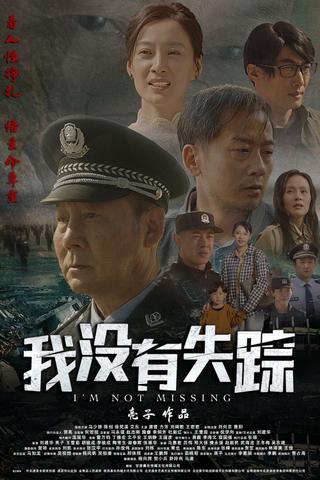 我没有失踪 poster