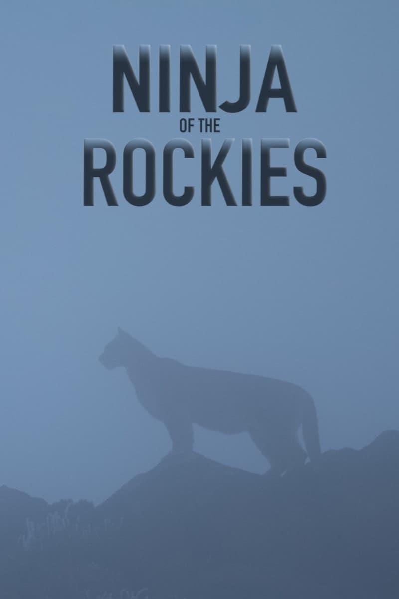 Ninja of the Rockies poster