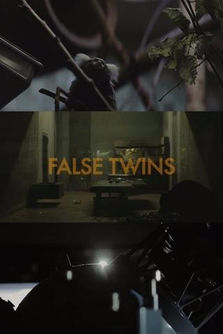 False Twins poster