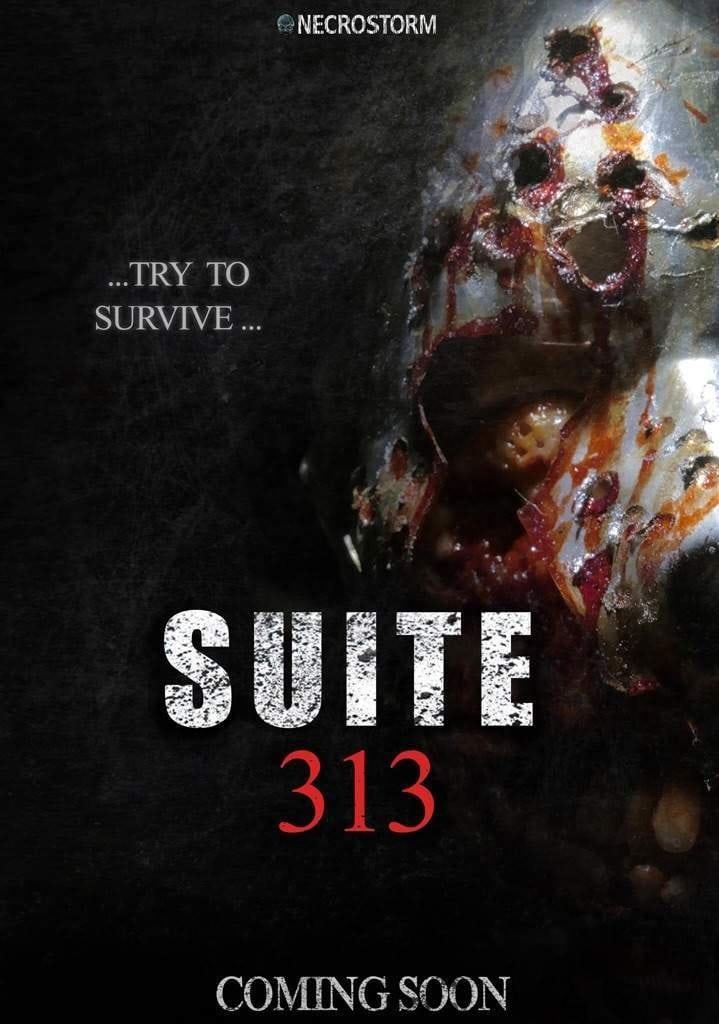 Suite 313 poster