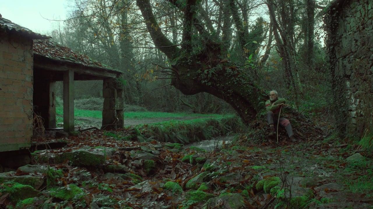 Under the chestnut tree backdrop