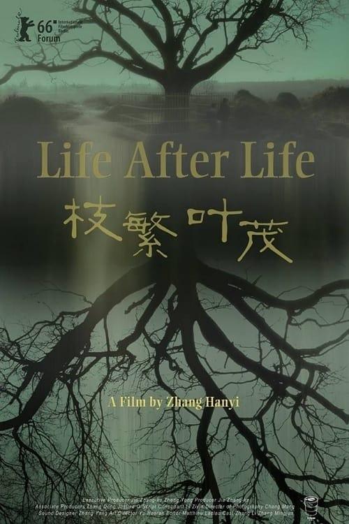 Life After Life poster