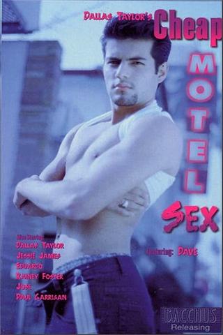Cheap Motel Sex poster