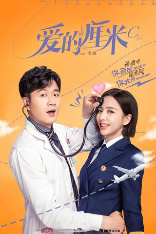The Centimeter of Love poster