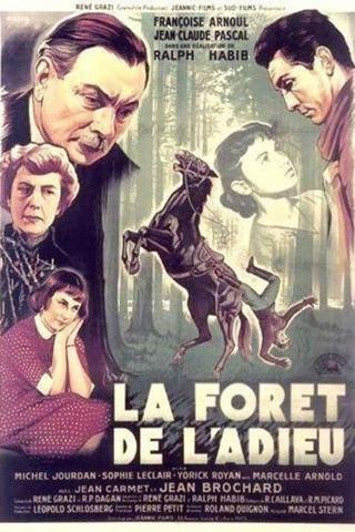 The Forest of Farewell poster