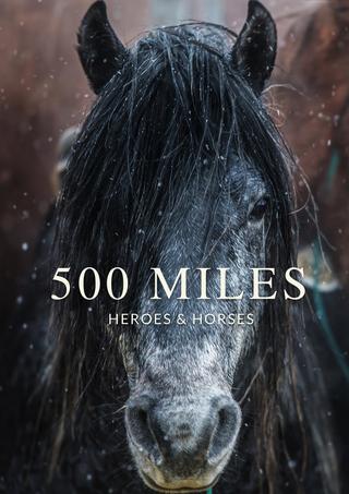 500 Miles - The Story of Ranchers and Horses poster