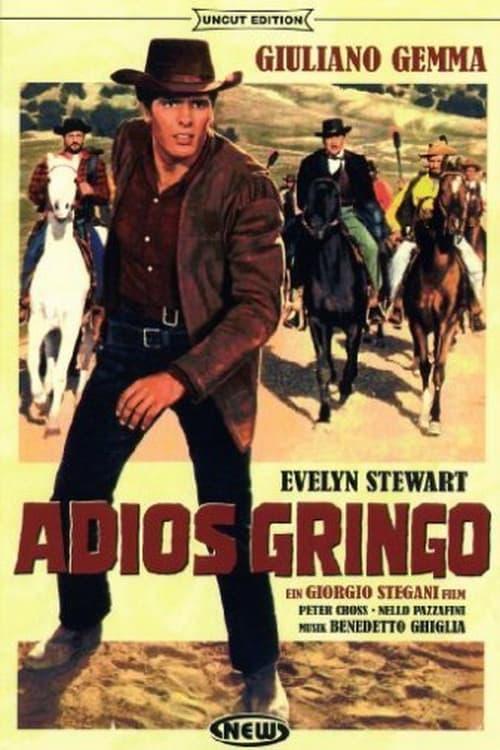 Adiós Gringo poster