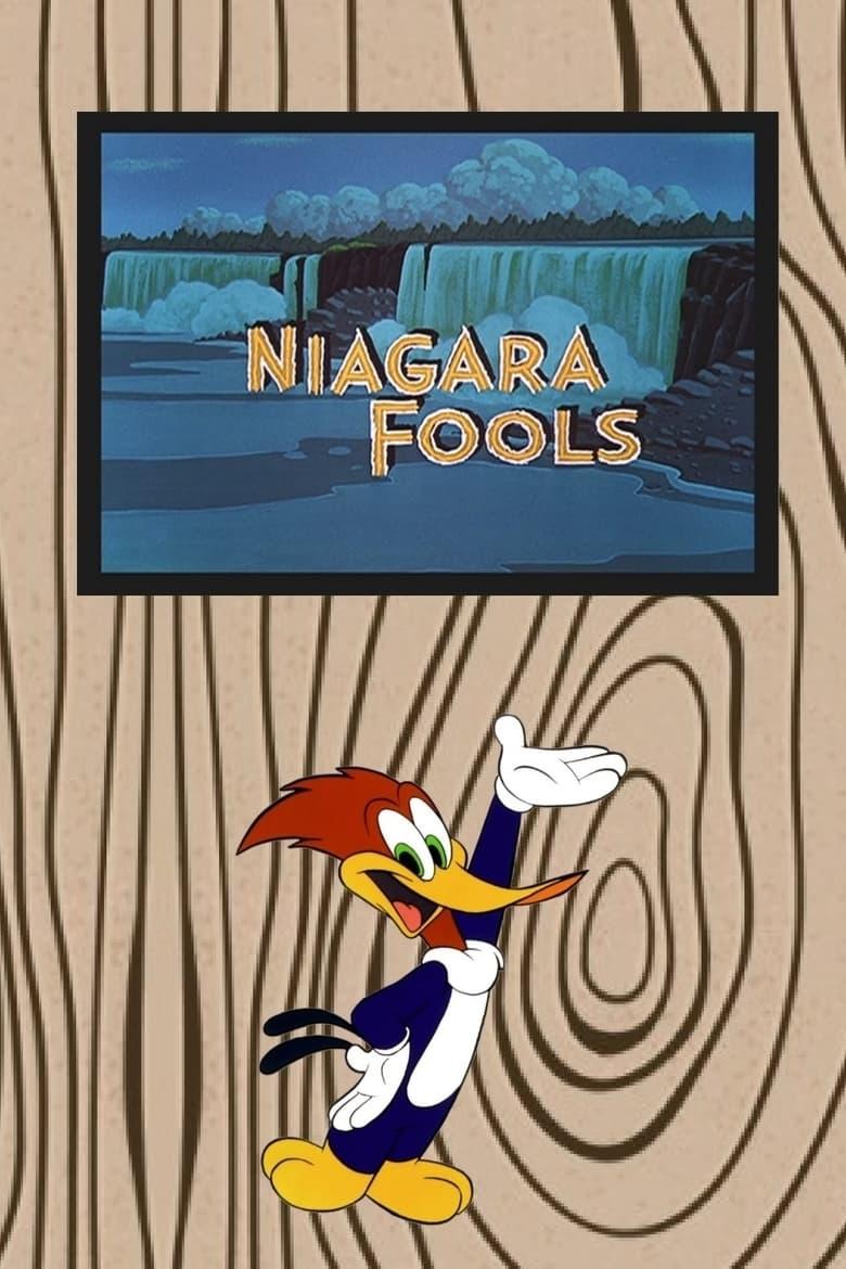 Niagara Fools poster