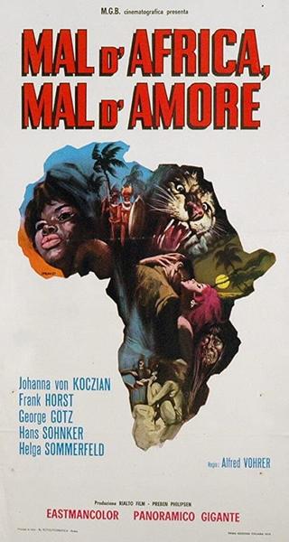 Unser Haus in Kamerun poster