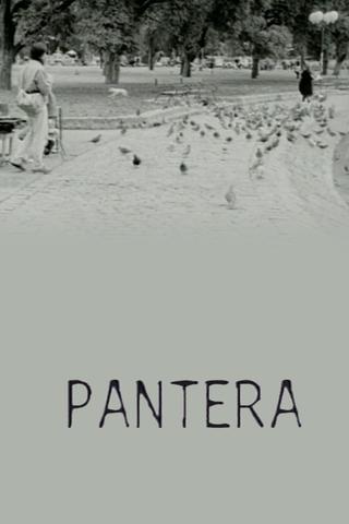 Pantera poster
