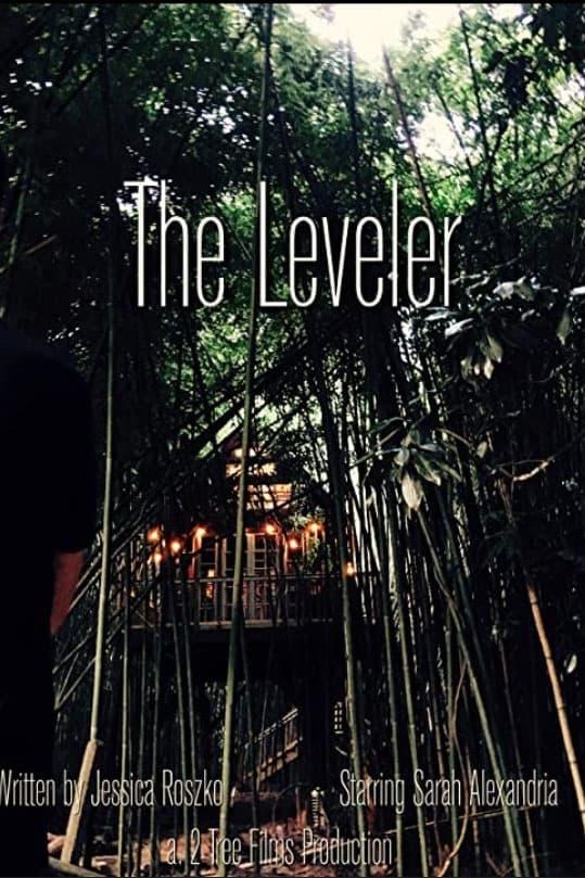 The Leveler poster