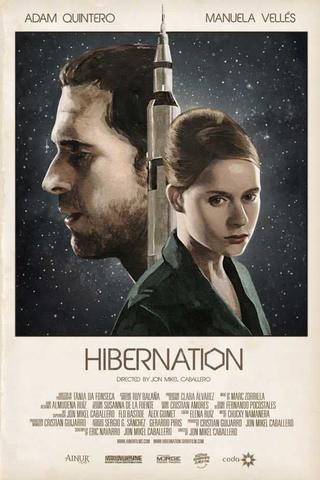 Hibernation poster