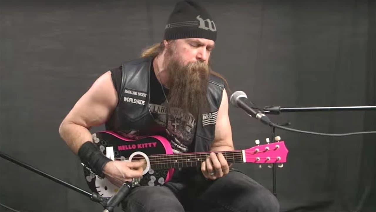 Zakk Wylde: House of Guitars 1993 backdrop