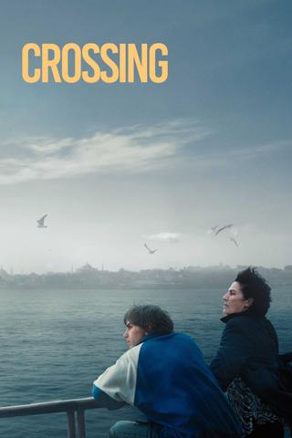 Crossing poster