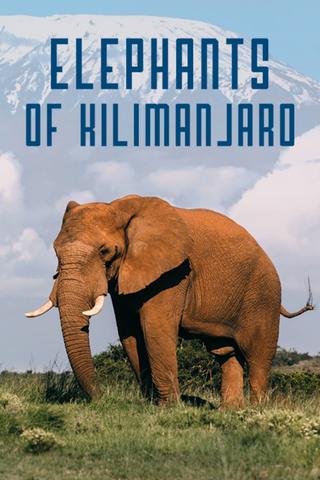 Elephants of Kilimanjaro poster