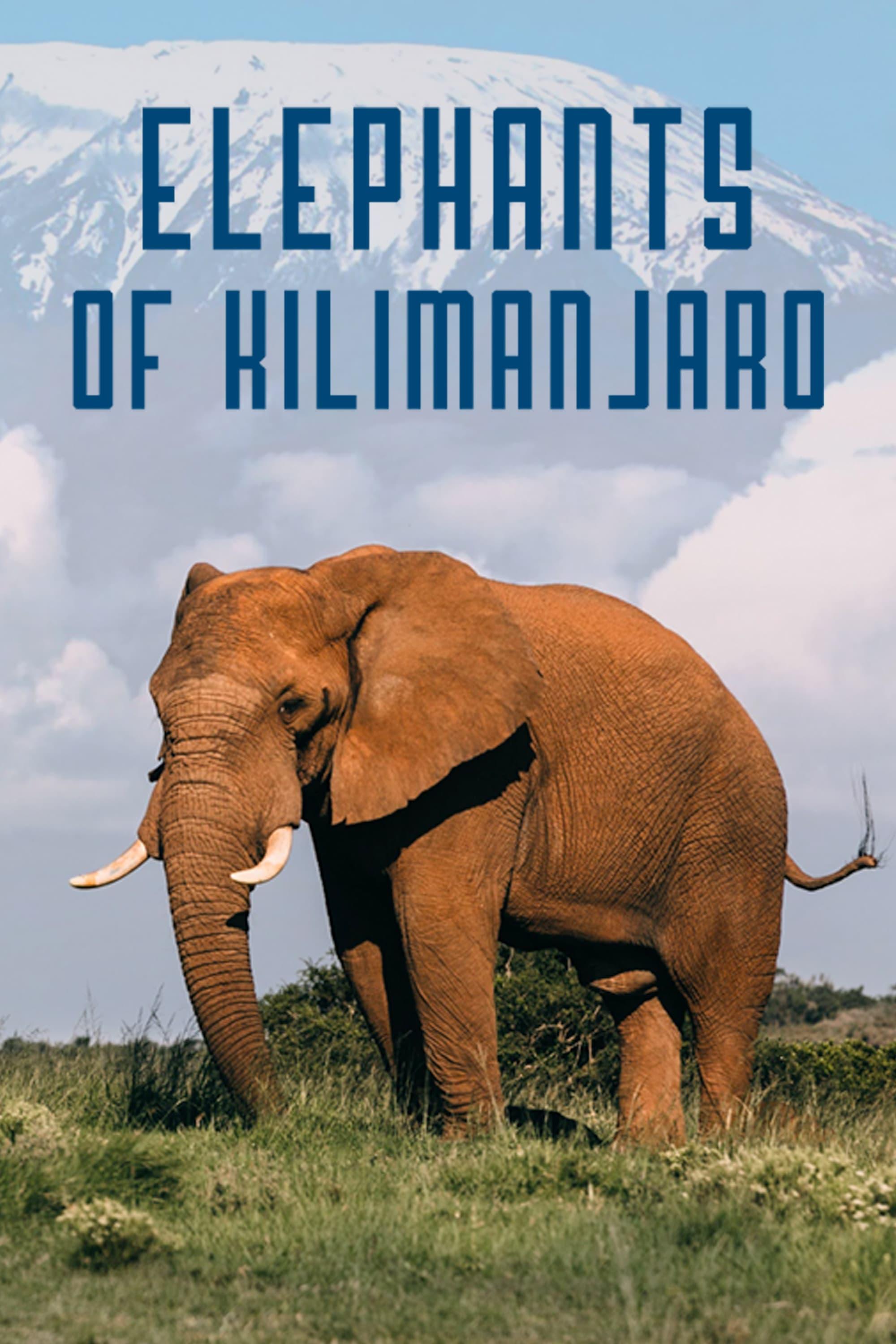 Elephants of Kilimanjaro poster