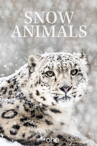 Snow Animals poster