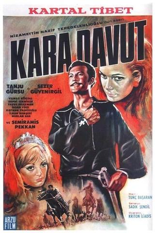 Kara Davut poster