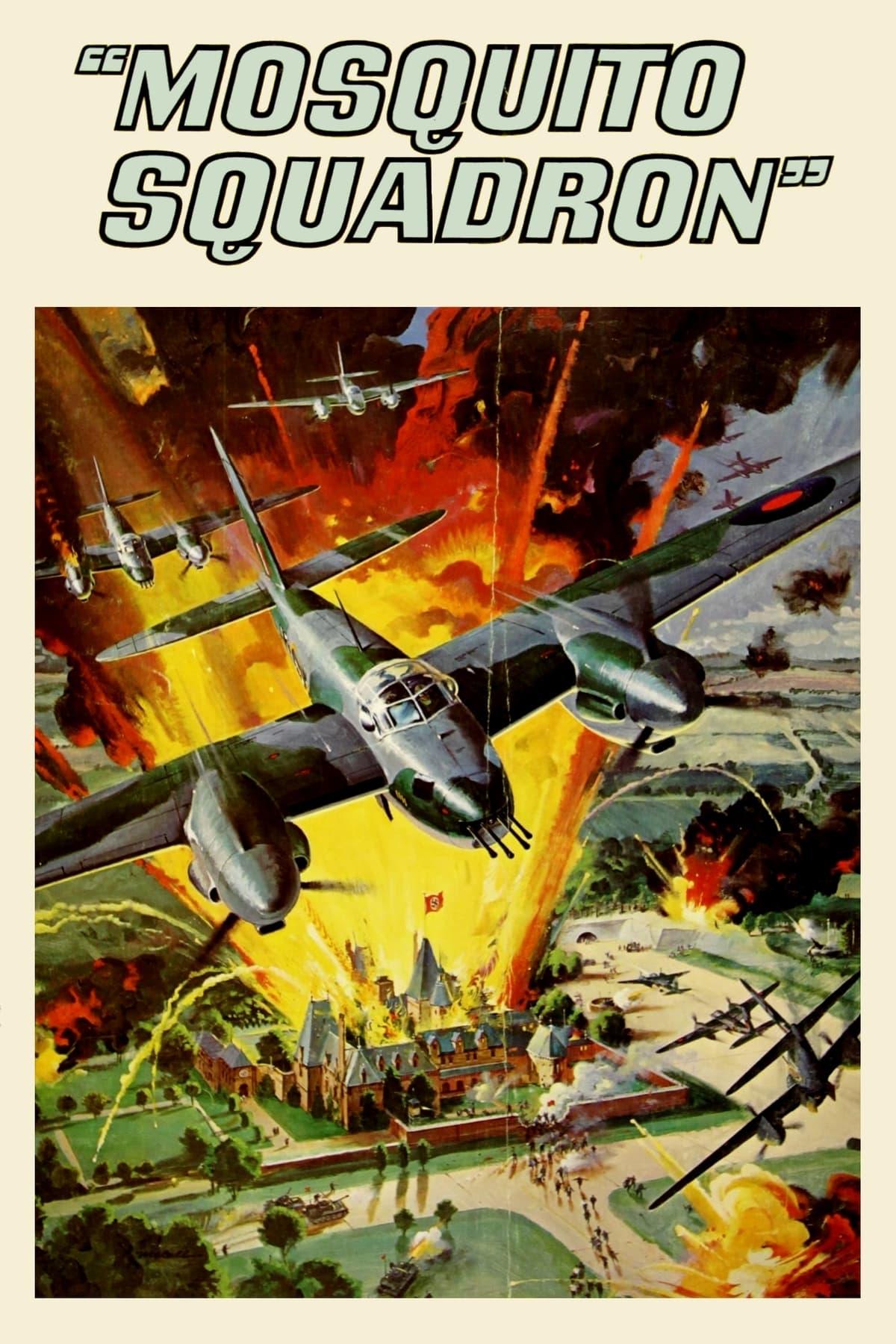 Mosquito Squadron poster