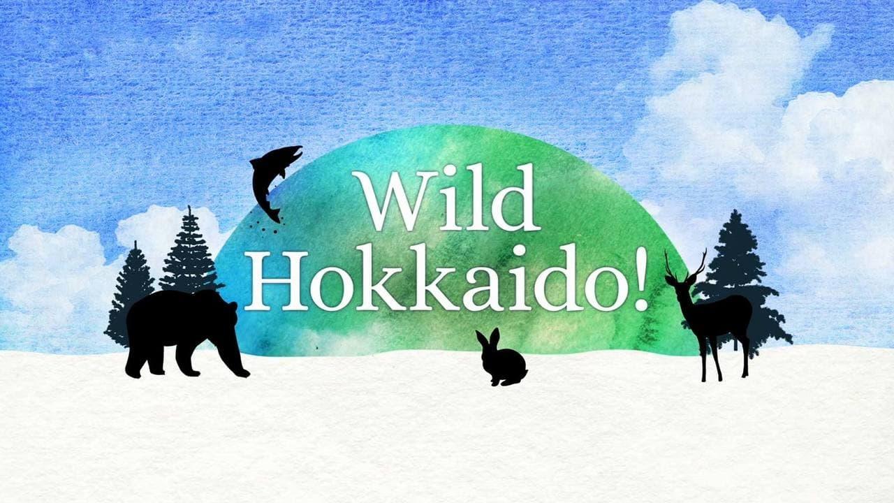 Wild Hokkaido! backdrop